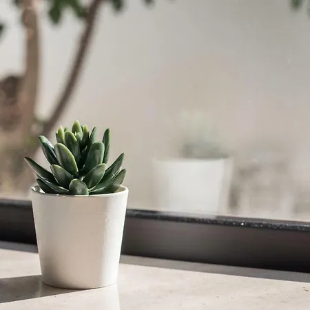 Laurent - Beachfront And Center Appartamento *